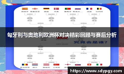 匈牙利与奥地利欧洲杯对决精彩回顾与赛后分析